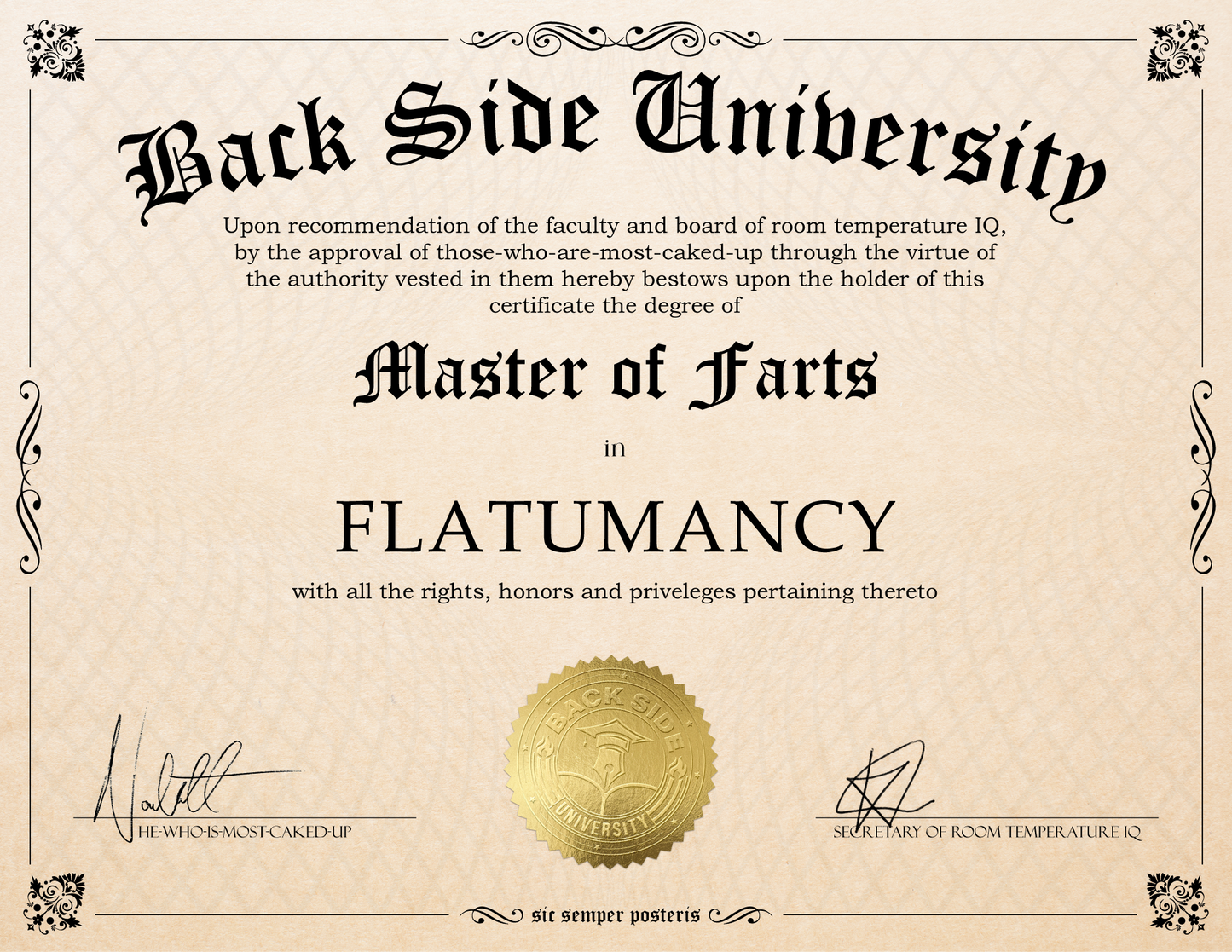 Back Side University Diploma