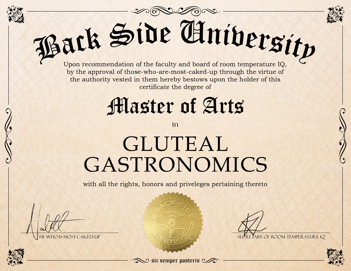 Back Side University Diploma