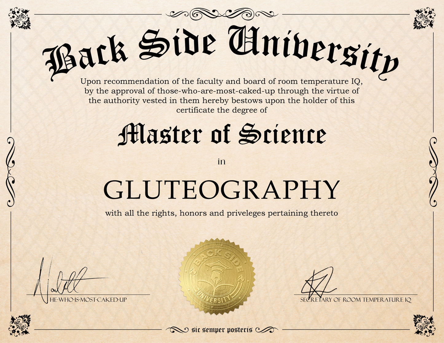 Back Side University Diploma